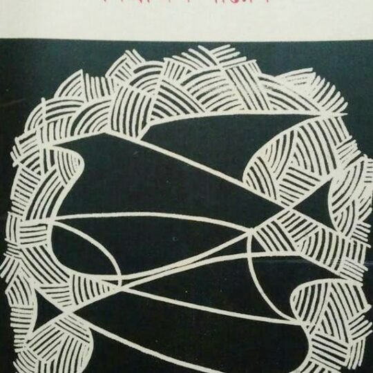 Danay Se Chumbakatta Achhe (ডানায় সে চুম্বকত্ব আছে)